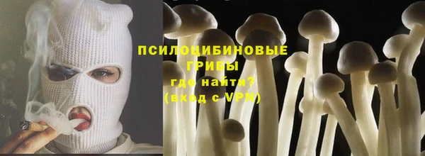 первитин Алексин