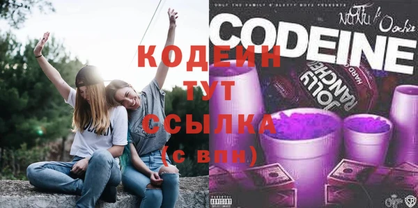 гидра Гатчина