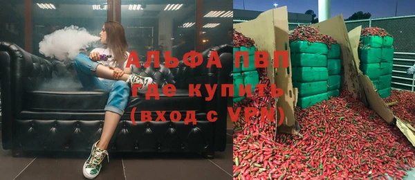 гидра Галич