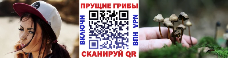 Псилоцибиновые грибы Magic Shrooms  KRAKEN ссылка  Сельцо 